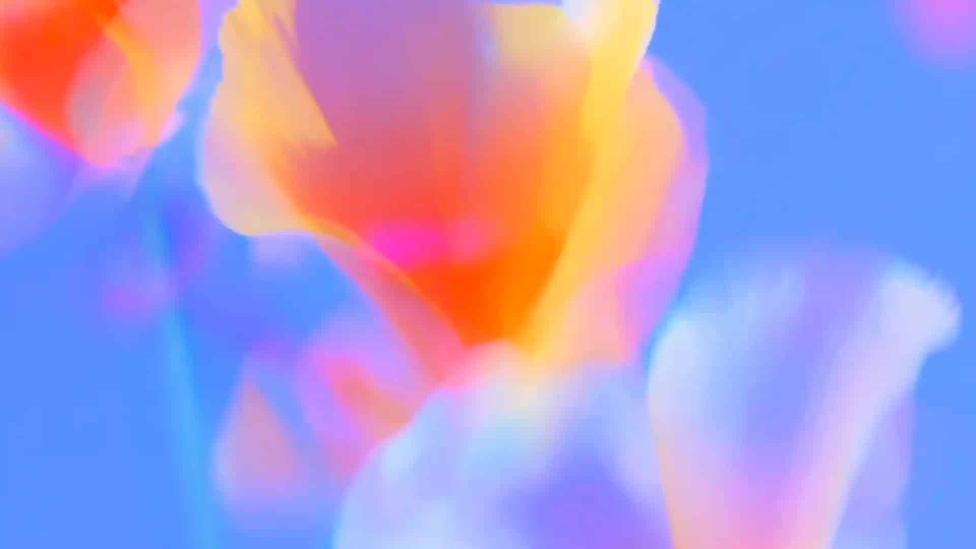 Фоновое изображение страницы входа в Ommatid Support